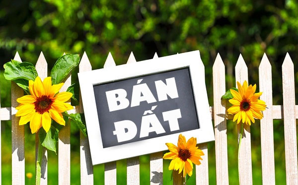 Status Ban Dat Hay Nhat 1